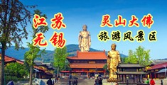 操B在线看视频江苏无锡灵山大佛旅游风景区