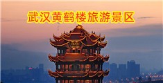 啊啊啊啊啊好大美女好爽