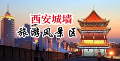 舔男童的小鸡鸡视频中国陕西-西安城墙旅游风景区