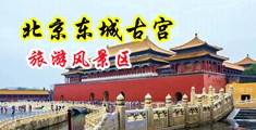 日逼操嗯啊中国北京-东城古宫旅游风景区